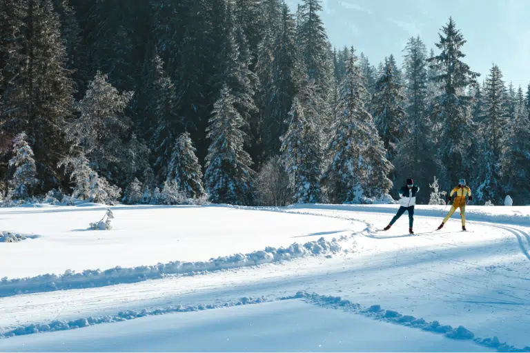 Zwei Personen fahren auf einer verschneiten, von Kiefern gesäumten Loipe in der Nähe des 4-Sterne-Hotels Seefeld Ski.